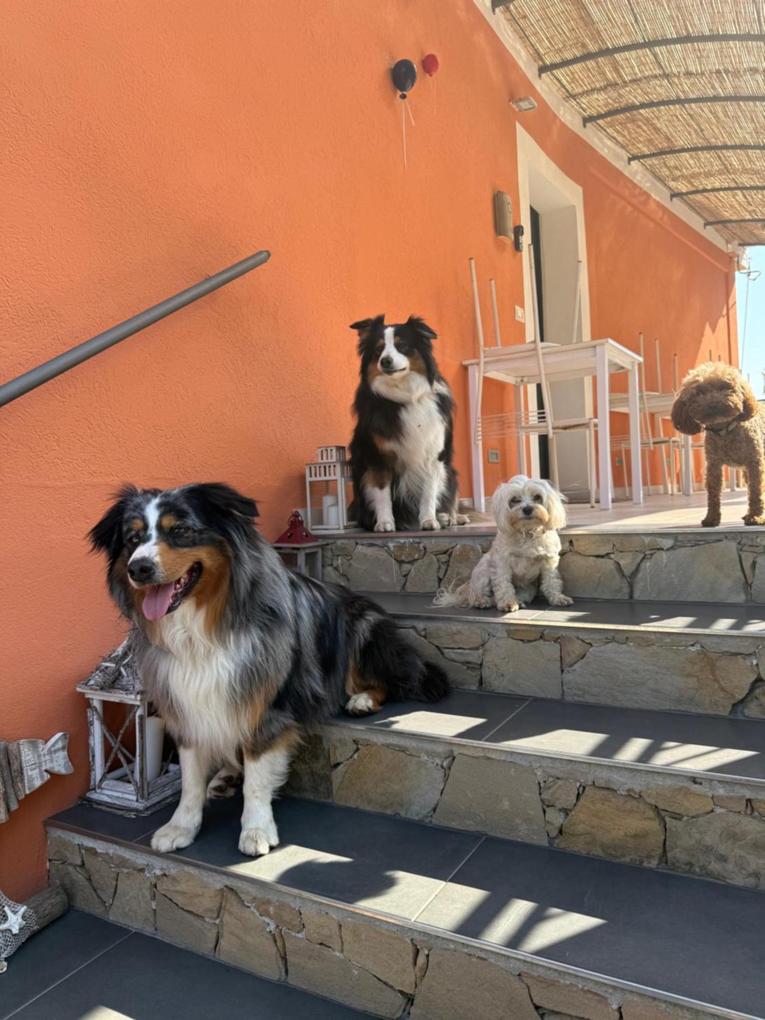 Alloggio per agriturismo Un Mare Di Fiori