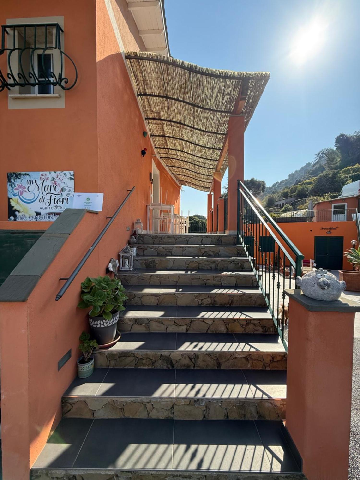 Un Mare Di Fiori
