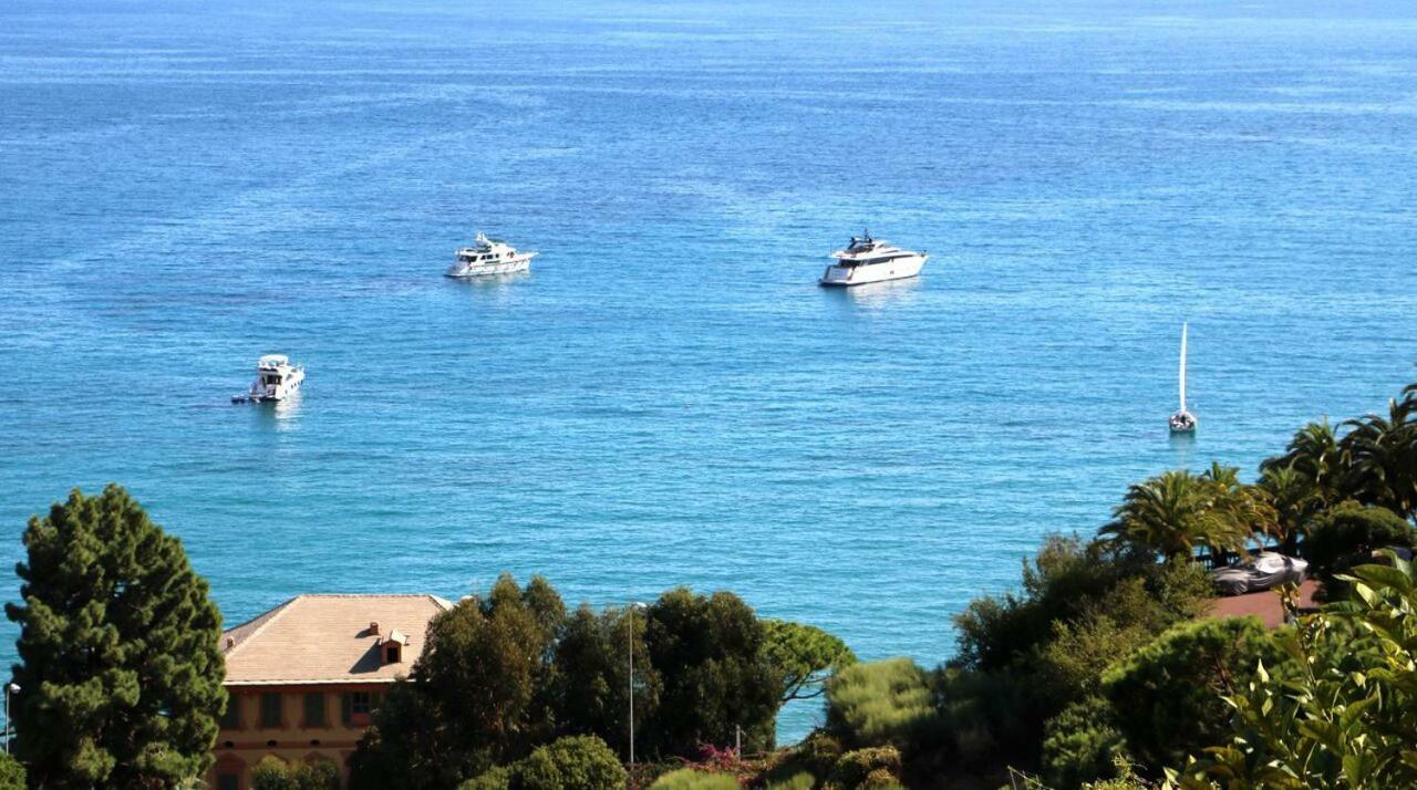 Un Mare Di Fiori *