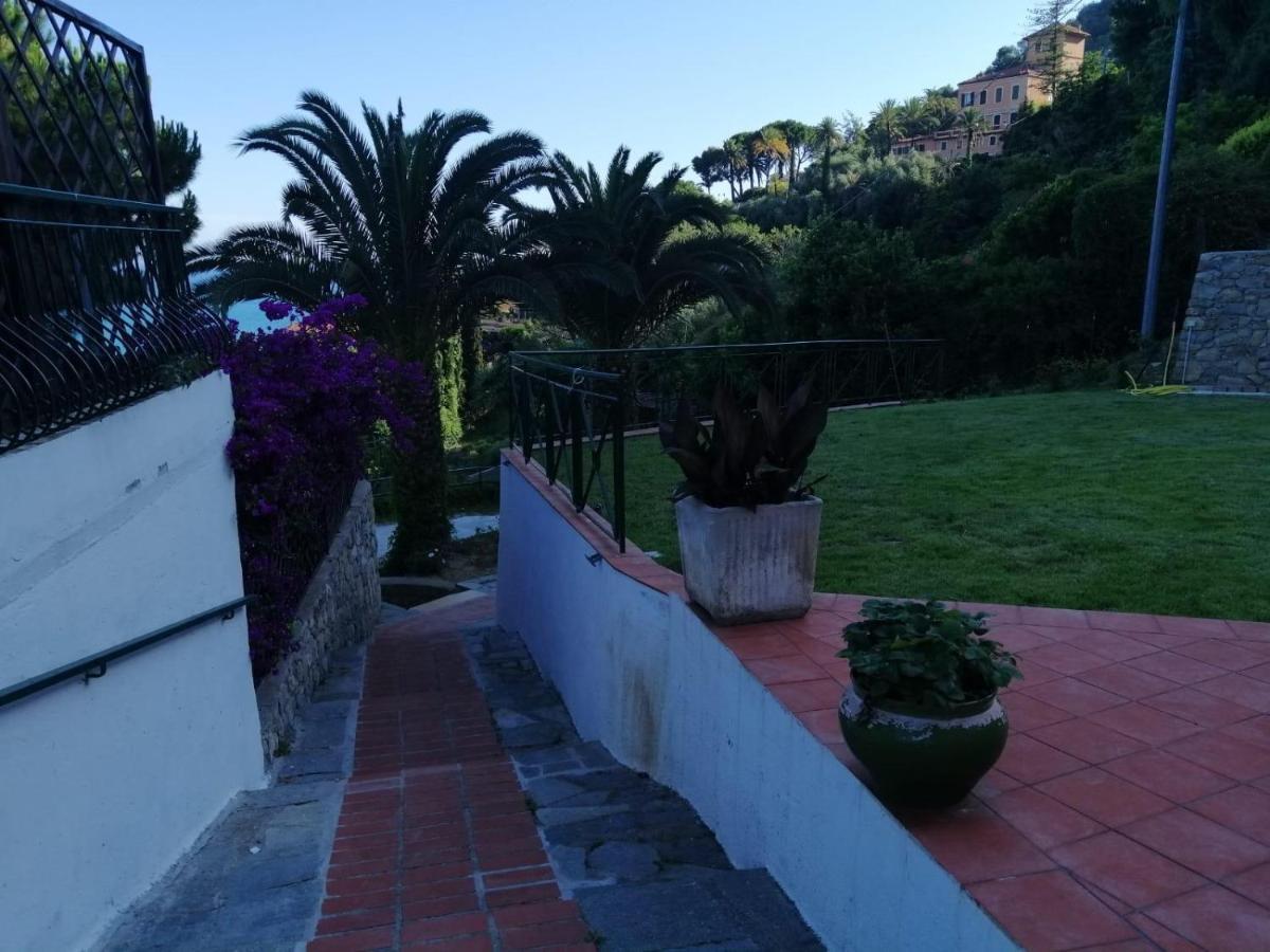 Un Mare Di Fiori Ventimiglia