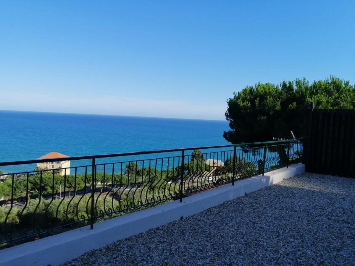 Un Mare Di Fiori
