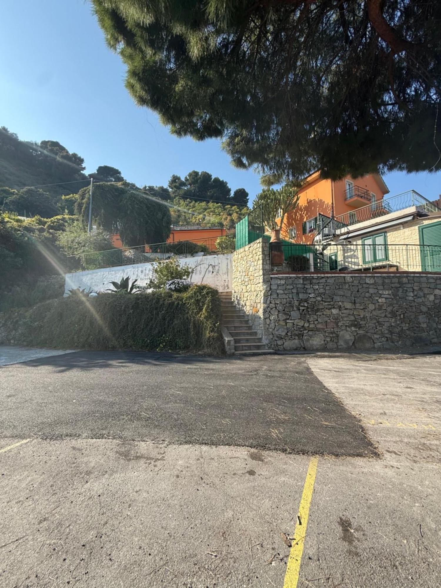 Un Mare Di Fiori Ventimiglia