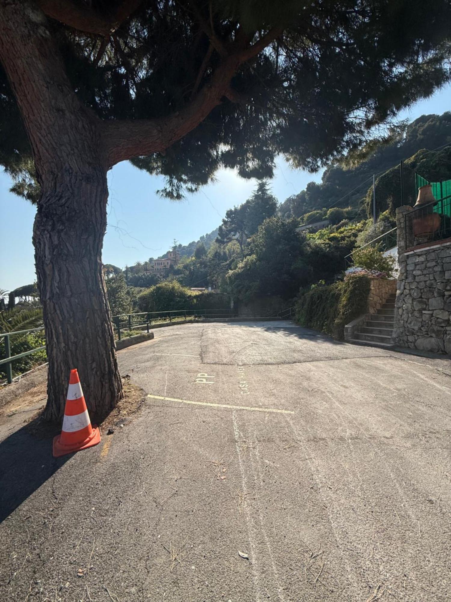 Un Mare Di Fiori