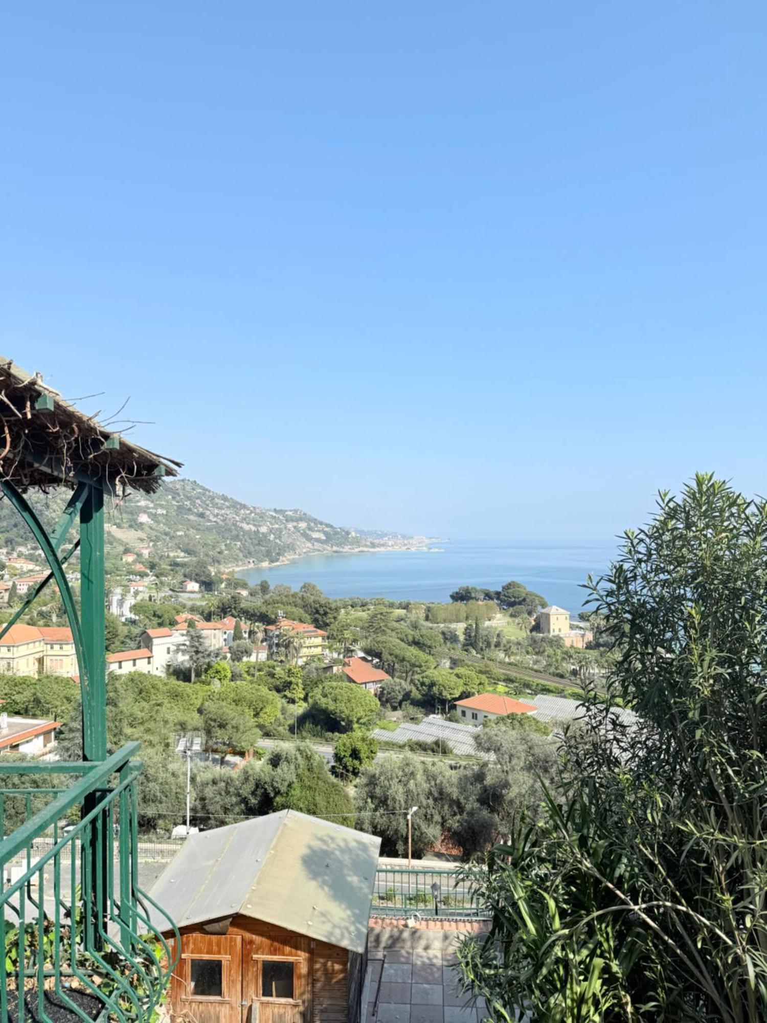 Un Mare Di Fiori * Ventimiglia