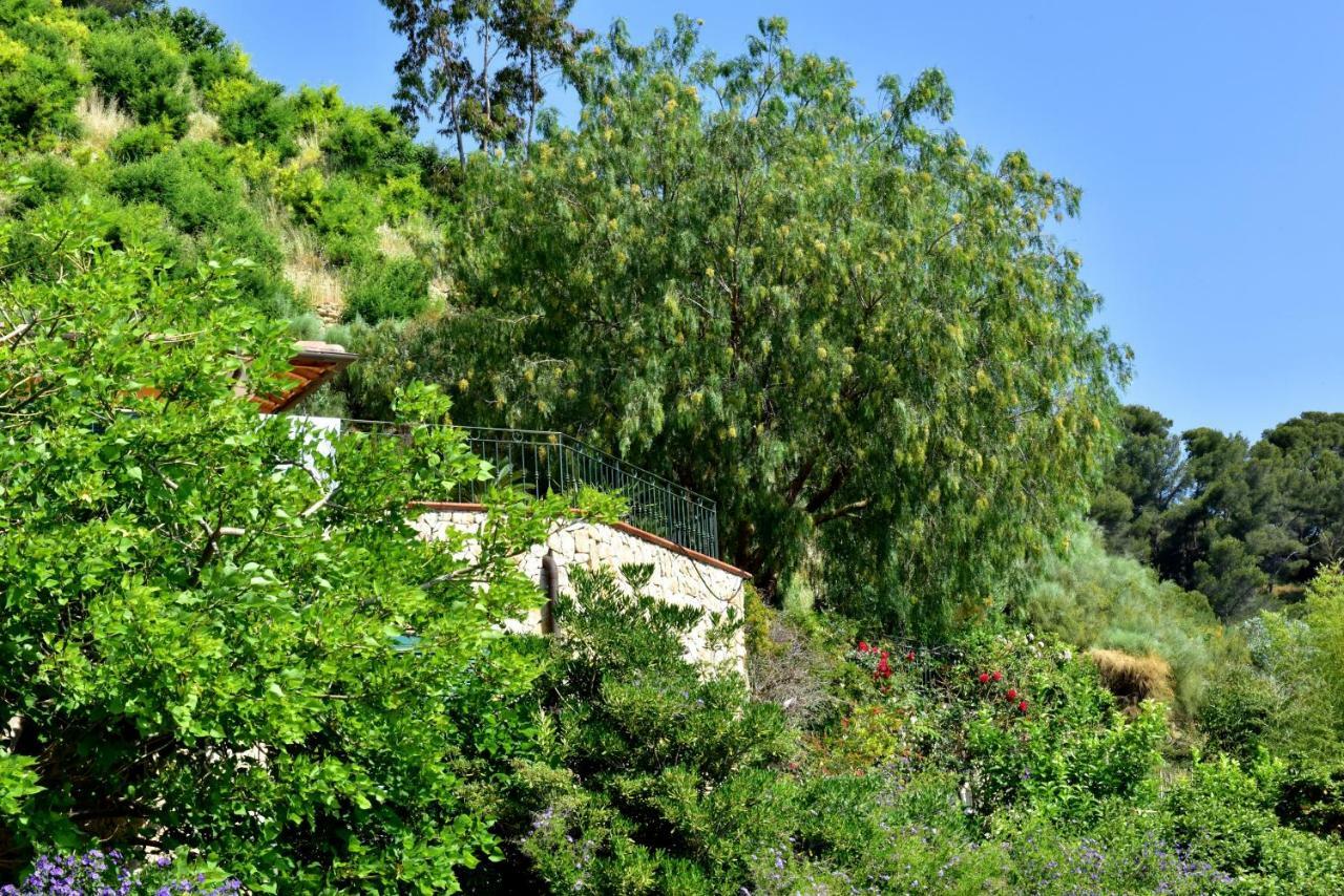 Un Mare Di Fiori *