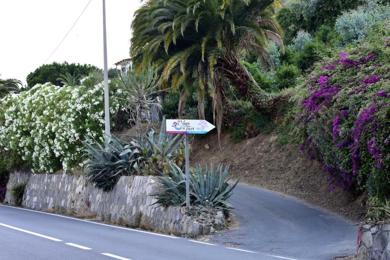 Un Mare Di Fiori Ventimiglia