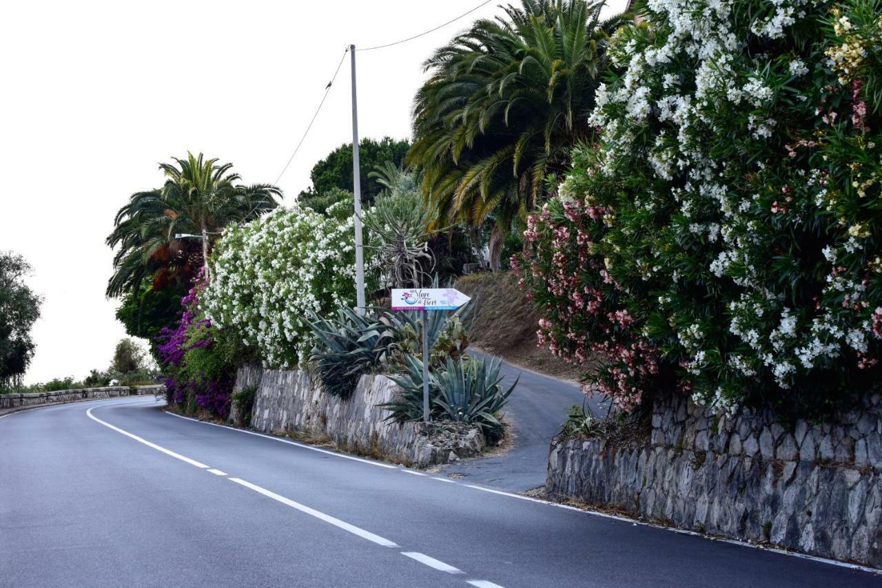Un Mare Di Fiori Agroturismo