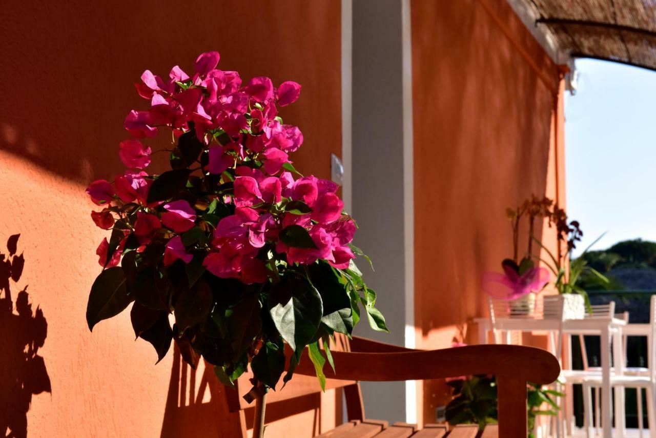 Vakantieboerderij Un Mare Di Fiori